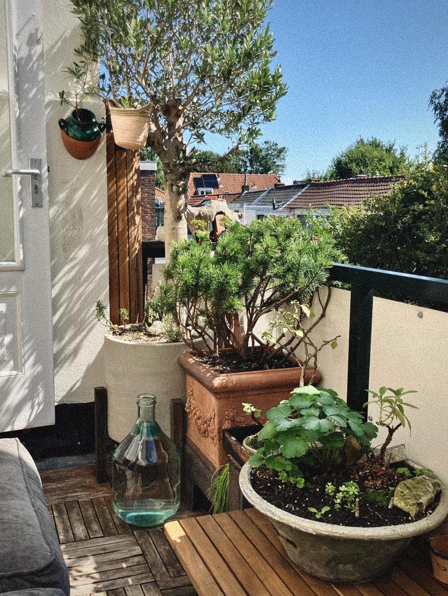 Lovely, 1898 Jugendstil Design Apartment, Old Haarlem City Centre, Fully Renovated With Parkview Near Amsterdam And Zandvoort, Bloemendaal Beach Экстерьер фото